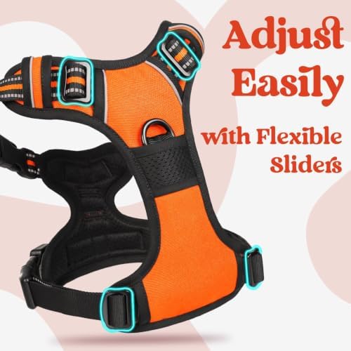 rabbitgoo Dog Harness for Large, Updated Easy On & Off with 3 Buckles - Image 3