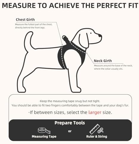 PUPTECK Dog Harness, Collar and Leash Set No Pull for Small Medium Sized - Image 2
