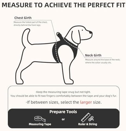 PUPTECK Dog Harness, Collar and Leash Set No Pull for Small Medium Sized - Image 2