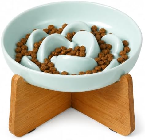 Elevated Slow Feeder Cat Bowl - Melamine Cat Food Plate with Anti-Slip Bamboo Stand - Whisker Friendly Feeding Bowl - Raised Maze Dish for Slow Eating - Pale Blue by PTOBER