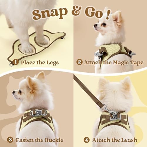 rabbitgoo Dog Harness Small Sized and Leash Set, Step in Soft Vest - Image 2