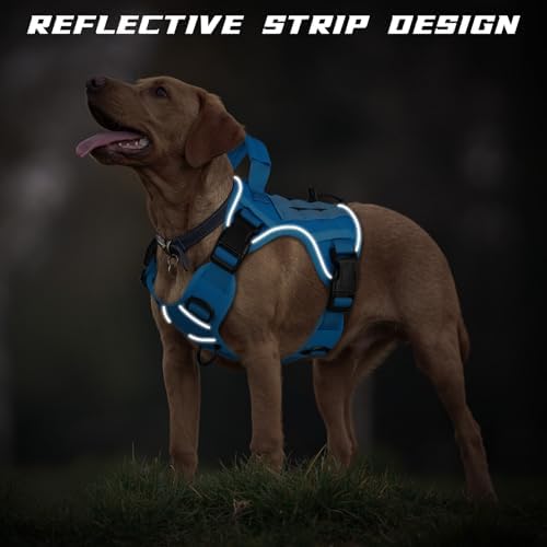 WINGOIN Blue Tactical Dog Harness for Medium Size Dogs,No Pull Dog Harness - Image 4