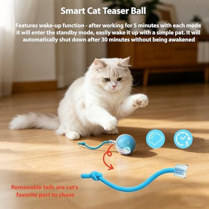 Interactive Cat Toys Ball for Indoor Cats, Automatic Self-Rolling, Motion-Activated, Bird Chirping Cats Dogs Ball Toy with Elastic Mesh Tail, Cat Enrichment Toys for Indoor Cats (Red+Blue) - Image 7