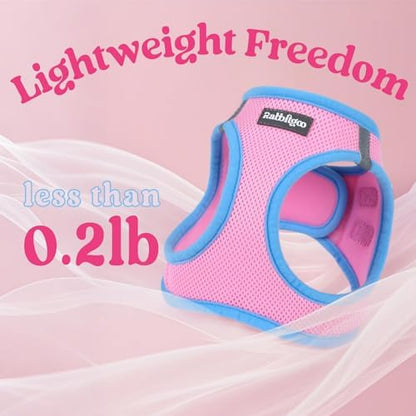 rabbitgoo Dog Harness Small Sized and Leash Set, Step in Soft Vest - Image 7