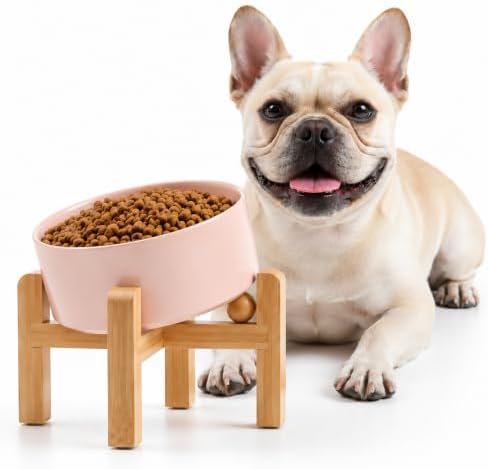 Petygooing Khaki Raised/Elevated 15°Slanted Ceramic Dog Bowl for Small Breeds,Tilted Anti Slip Pet Feeding Bowl,Food Water Dish with Stand for Cats and Small Dogs Puppy 13.5 OZ (5.1In / 1.7 Cups) by PetygooingforYOURLOVEDPET