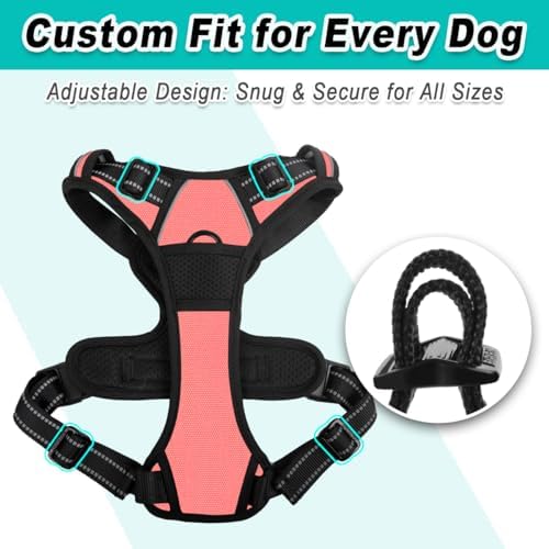 BARKBAY Dog Harness for Medium Sized Dog No Pull 2 Leash Clips Dog Vest - Image 6
