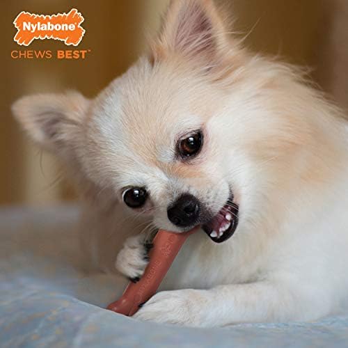 Nylabone Power Chew Classic Bone Chew Toy for Dogs, Durable Dog Toys for Aggressive Chewers, Bacon Flavor, X-Small/Petite - Up to 15 lbs. (1 Count) - Image 2