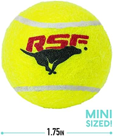 Franklin Sports Ready Set Fetch Mini Squeaker Tennis Ball - 12 Pack - Image 2