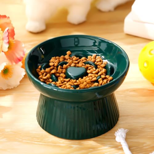 Tioncy 1 Pcs Ceramic Elevated Slow Feeder Cat Bowl, Dark Green - Image 5