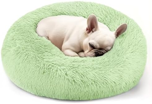 Hoewina Dog & Cat Bed, 20in Cat Beds for Indoor Cats (Green) by Hoewina