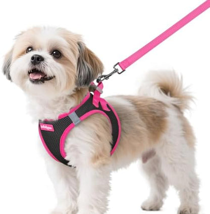 rabbitgoo Dog Harness Small Sized and Leash Set, Step in Soft Vest by rabbitgoo