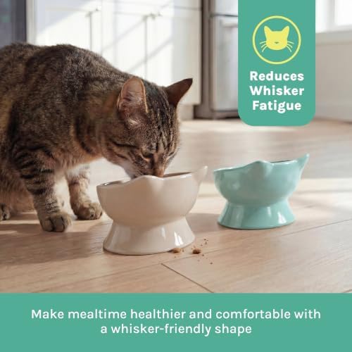 Kitty City Elevated Cat Bowls (Set of 2), Whisker-Friendly Raised Cat Food & Water Dishes, Modern Pedestal Design, Dishwasher Safe, 10.8 oz Each – Pink & Teal - Image 4