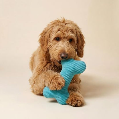 Playology Durable Plush Bone Toy- Crinkle Bone - Jumbo,Peanut Butter Scent - Image 3