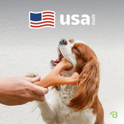 Benebone Wishbone Durable Dog Chew Toy for Aggressive Chewers, Real Peanut, Made in USA, Small, for Any breed - Image 5