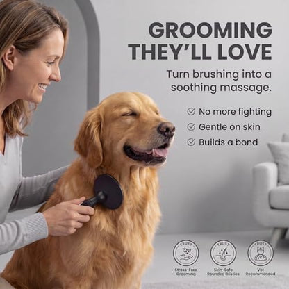 Round Bristle Pet Brush for Dogs and Cats - Soft Dog Brush for Grooming Short or Long Hair - Gentle Tool for Sensitive Skin Removes Dander, Dirt, and Detangles (Black) - Image 2