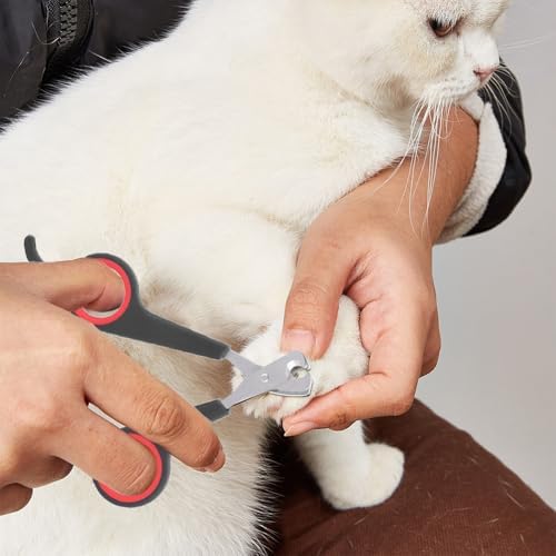 Tiiyee Cat Nail Clipper, Pet Nail Trimmers Bird Claw Scissors Stainless Steel Parrot Cage Essential Grooming Tool for Small Animals Ferrets Bunny Kitten Hamsters Rabbit Puppy Precision Sharp Cut - Image 4