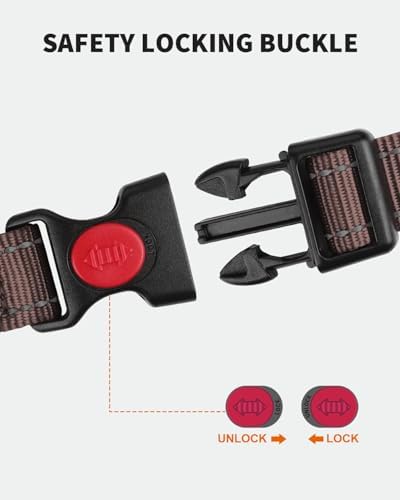 FunTags Martingale Dog Collar and Leash Set for Puppy Dogs, Locking Buckle - Image 3