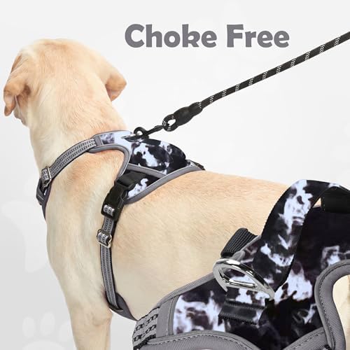 Funfox Dog Harness No Pull, Adjustable Pet Vest Harness, Super Soft Material with Vertical Handle Easy Control, Reflective Night Walking, 2 Leash Clips for Small Sized Dogs, Misty Gray, S - Image 3