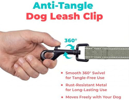 Best Pet Supplies Voyager Nylon Dog Leash - Moss Green, Medium - Image 7