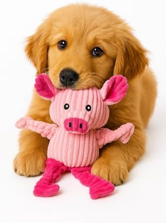 Jalousie Plush Toys Assortment Value Bundle Puppy Pet Mutt Squeak Toy for Medium Large Dogs (5 Pack Knotted) - Image 7