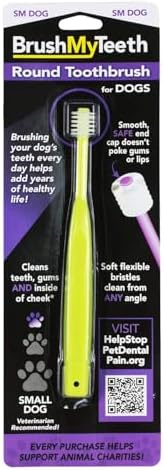 Brush My Teeth Small Dog Toothbrush, Rounded Brush Head -Soft Flexible Bristles, Safe and Gentle Brushing for Small Dogs, Small Breeds and Puppy, Daily Brushing Adds Years of Healthy Life, Multicolor by BrushMyTeeth