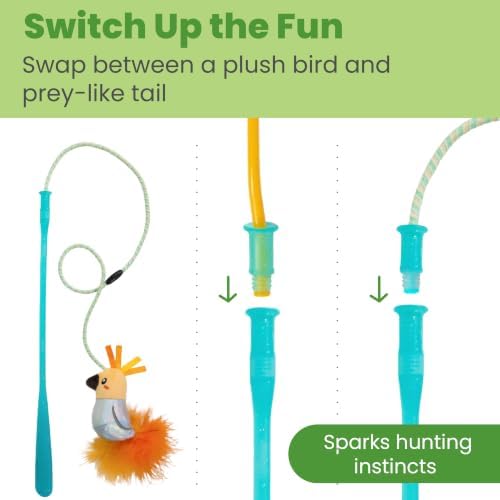 Catstages Flutter Frenzy Prey Wand Set Cat Toy for Cats & Kittens, 2 Interchangeable Attachments, Prey-Like Tail & Plush Bird on Stretchy Cord - Image 3