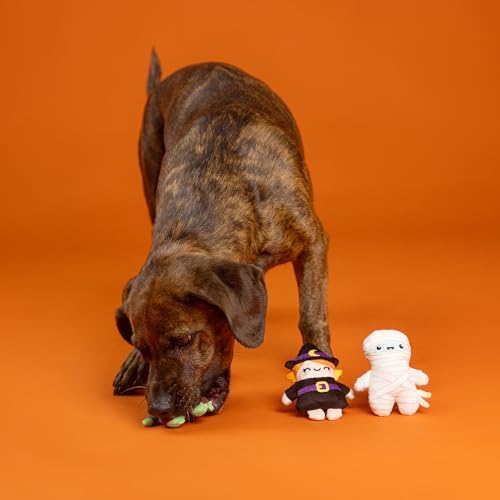 Fringe Studio Pet Toy, Ghouls Wanna Have Fun Plush Dog Toy 3 PCS Set,Pet Shop Collection (662192) - Image 3