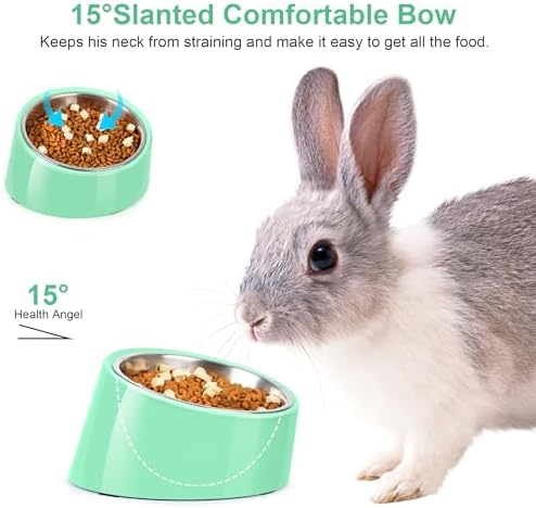 Tilted Dog Bowl Non-Slip & Non-Spill Pet Feeder with Elevated Detachable Melamine Stand, Easy to Get Food Dog Dish, S/100ml Green - Image 3