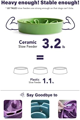 LE TAUCI Slow Feeder Dog Bowls Ceramic, 1.5 Cups Dog Food Bowl, Puppy Slow Feeder Dish for Fast Eaters, Clover Green - Image 4