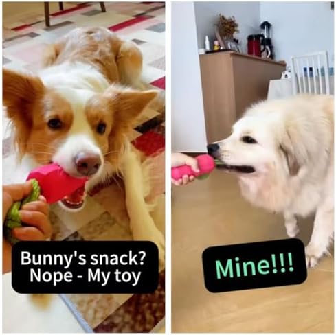 MewaJump Dog Chew Toys for Aggressive Chewers, Rubber Squeaky Dog Toys - Image 3
