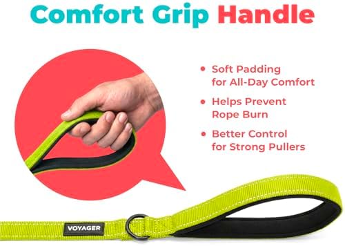 Best Pet Supplies Voyager Nylon Dog Leash - Lime Green, Medium - Image 5