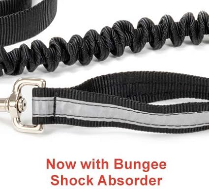 Alpine Outfitters Urban Trail Double Duty Leash with Padded Handle, Traffic Handle and 3M Scotchlite Reflective Bands - Go Hand-Held or Hands-Free!