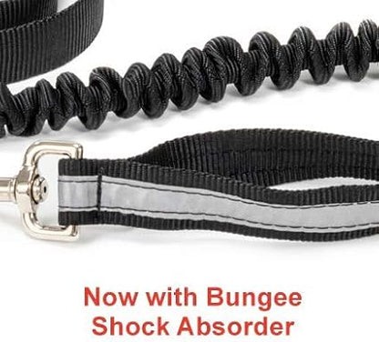 Alpine Outfitters Urban Trail Double Duty Leash with Padded Handle, Traffic Handle and 3M Scotchlite Reflective Bands - Go Hand-Held or Hands-Free!