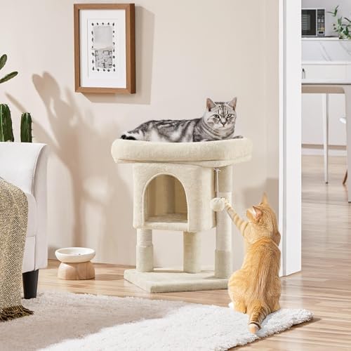Yaheetech 23.5in Small Low-Profile Cat Tree Condo with Scratching Posts - Image 2