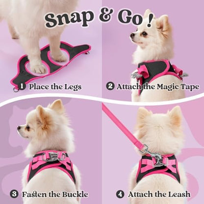 rabbitgoo Dog Harness Small Sized and Leash Set, Step in Soft Vest - Image 2