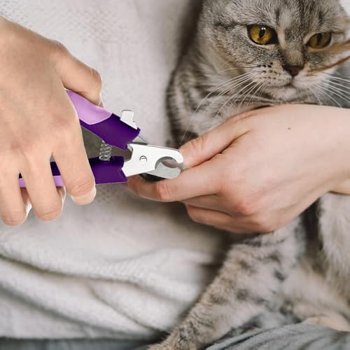 WePet Pet Nail Clippers U07.3, Professional Claw Trimmer, Scissor for Cats, Dogs, Puppies, Kittens, Hamsters, Rabbits and Small Animals, Sharp, Safe, M, Pink/Purple - Image 7