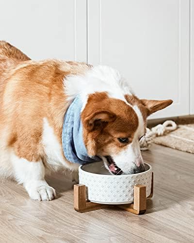 LE TAUCI Ceramic Dog Bowls for Large Dogs - 7" Elevated Water Bowl with Acacia Wood Stand, Single Pet Bowl Set for Food & Water, Clover - Image 2