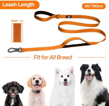 Twoear 6FT 1IN Heavy Duty Dog Leash for Large Dogs with 2 Padded Handles - Image 7