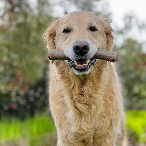 Nylabone Strong Chew Stick Made with Real Wood Dog Chew Toy, X-Large - Image 2