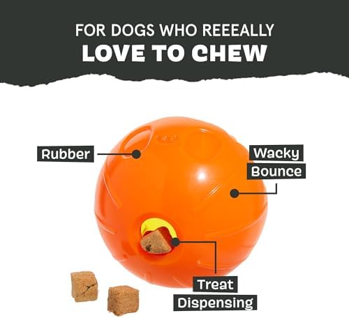 Barkbox Pumpkin Prodigy Dog Toy | Treat-Dispensing Rubber Dog Toy for Aggressive Chewers | Durable Dog Chew Toy for Medium Dogs & Puppy Essentials - Image 4