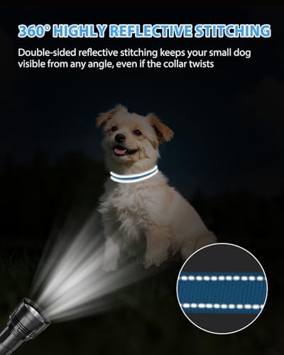 Joytale Feather-Light Dog Collar for Small & Medium Dogs, 3/4", Sky Blue - Image 5