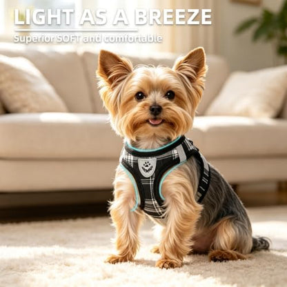 PUPTECK Dog Harness, Collar and Leash Set No Pull for Small Medium Sized - Image 3