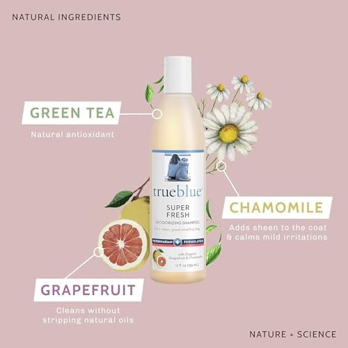 TrueBlue Grapefruit & Chamomile Deodorizing Dog Shampoo – Cleansing Wash, Moisturizing – Toxin Free, Natural Botanical Blend – Tearless – 12 Fl. Oz. - Image 3