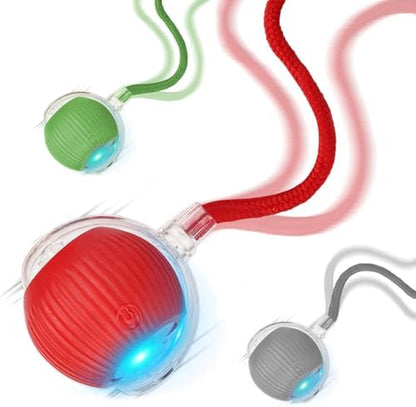 Goosheep 2025 New 3Pack Cat Ball Kitten Toys for Indoor Interactive Kitty Ball Toy Speedy Tail 360° Automatic Rolling(Red Grey Green) by Goosheep