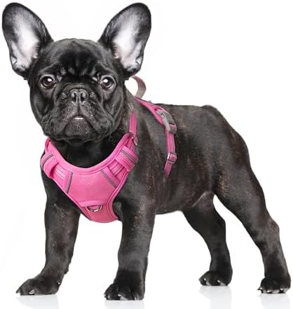 BARKBAY Dog Harness for Small Sized Dog No Pull Dog Vest ID Tag Pocket by BARKBAY