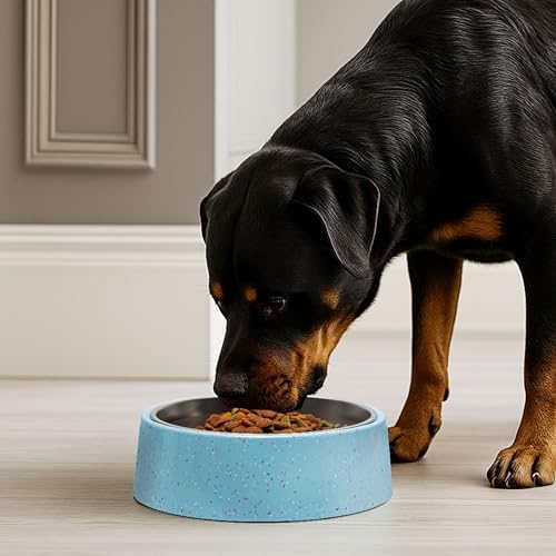 Bzyoo Pet Bowl for Small Dogs & Cats, Stylish Sprinkle Design, Elevated, (White w/Scoop, 4 Cups w/Scoop) - Image 4