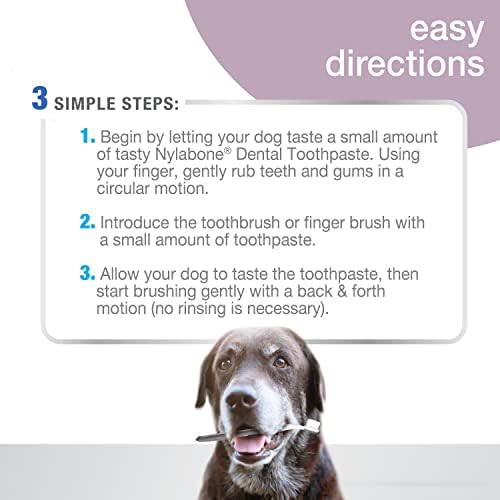 Nylabone Advanced Oral Care Senior Dog Dental Kit with Cushiony Soft-Bristle Toothbrush Bacon (3 Count) - Image 6