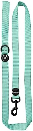 ShawnCo Dream Walk Dog Leash (Seafoam,Small) by SHAWNCO