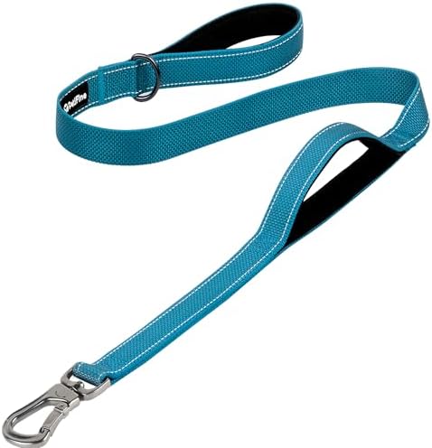 PetiFine 4FT Heavy Duty Dog Leash with Soft Padded Double Handle by PetiFine