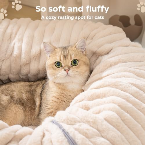 Avont Cat Tunnel Bed for Indoor Cats, Latte - Image 3